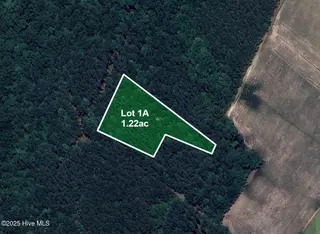 Lot 1/1a 1, Blounts Creek, NC 27814 – photo 14: Lots1A-RiverBluff-Sat1