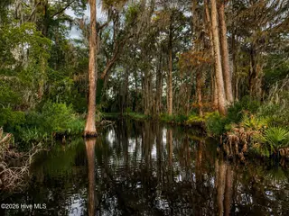 1209 Brices Creek Road, New Bern, NC 28562 – photo 8: Canal Entrance
