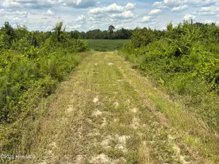 0 Near 685 Rossie Ober Road, Whiteville, NC 28472 – photo 6: IMG_0398
