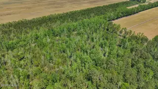 0 7 Guinea Mill Road, Ernul, NC 28527 – photo 6: 6