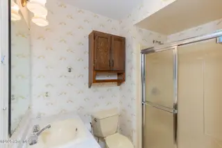 241 Firetree Lane, West End, NC 27376 – photo 18: primary bath2