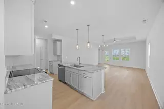 4008 Smoked Maple Drive 62, Leland, NC 28451 – photo 8: 8_kitchen