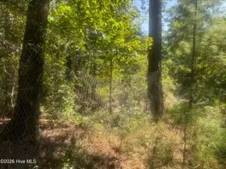 0 Bud Stephens Road, Evergreen, NC 28438 – photo 3: Pridgen 3