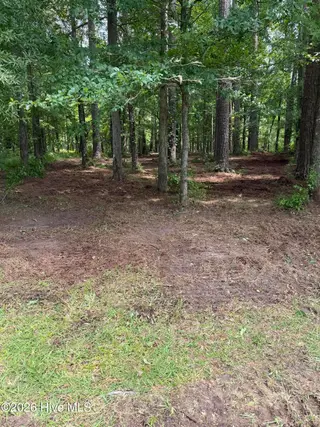0 94 Winfield Lane, Pinetown, NC 27865 – photo 7: IMG_0575