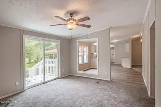 7320 Nc Highway 210, Rocky Point, NC 28457 – photo 9: 16-web-or-mls-7320 NC Hwy 210-113