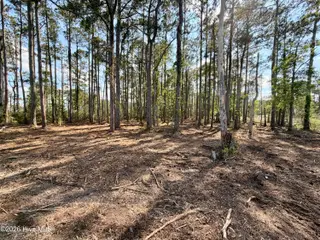 0 10/10A Seaview Court, Bath, NC 27808 – photo 13: IMG_3444