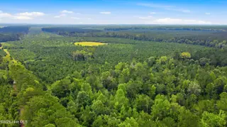 795 Pollard Swamp Road, Vanceboro, NC 28586 – photo 7: 7-print-DJI_0292 - edited