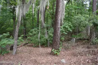 Lot 6 River Road, Blounts Creek, NC 27814 – photo 5: 5 Lot Photo