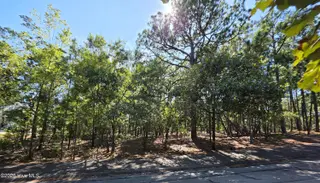 108 2283 Dartmoor Lane, West End, NC 27376 – photo 4: 20260909_151244