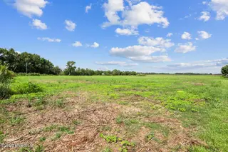 Lot 1 Waller Road, Mount Olive, NC 28365 – photo 15: 294 Waller Rd-1