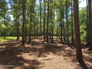6 Ashton Drive, Bath, NC 27808 – photo 19: 20220818_135545