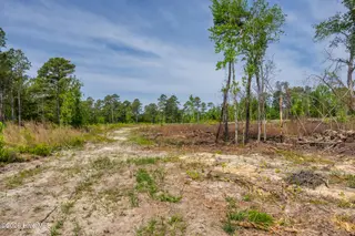 935 3 Mcgill Road, Vass, NC 28394 – photo 6: 935 MCGILL RE-EX-2