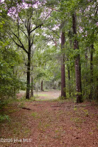 385 Sand Ridge Road, New Bern, NC 28560 – photo 2: IMG_4486