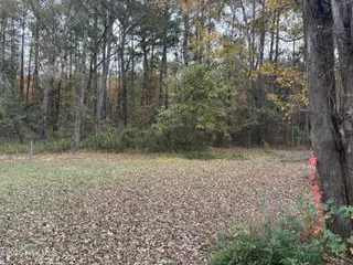 345 Lanier Avenue, Rocky Point, NC 28457 – photo 15: IMG_4337