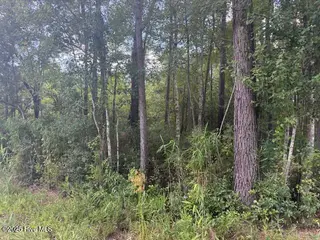 2539 Chauncey Town Road, Lake Waccamaw, NC 28450 – photo 2: IMG_3651