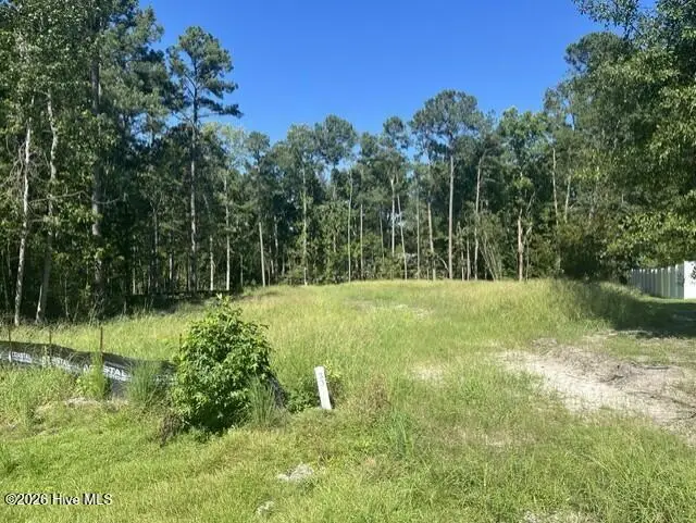 306 33 Joans Ridge, Stella, NC 28582