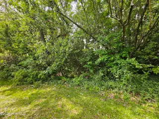 1203 34 Petite Terre Court, New Bern, NC 28560 – photo 3: 20250508_153026