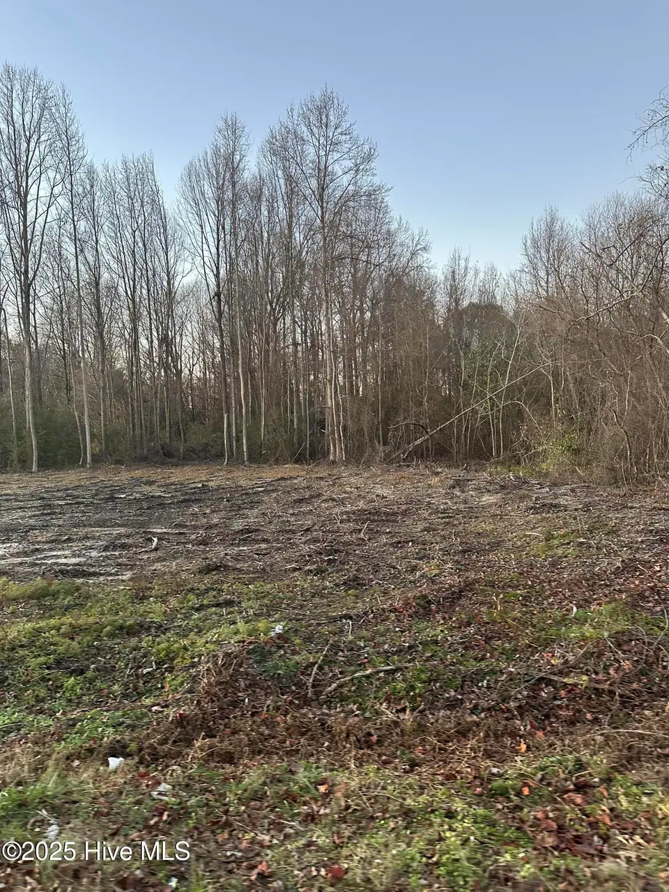 9585 Shallow Creek Trail, Bailey, NC 27807 – photo 1 of 1: IMG_7749