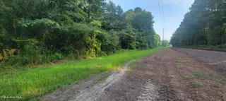 Lot 1 1 Sr 1178 Highway, Chocowinity, NC 27817 – photo 3: 20260816_082432