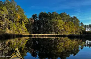 931 Schrams Beach Road, Belhaven, NC 27810 – photo 5: photo 03