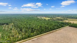 36ac Near 323 Indigo Flats Road W, Tabor City, NC 28463 – photo 8: 10-web-or-mls-Full10