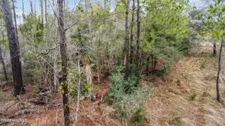 00 Old North River Road, Beaufort, NC 28516 – photo 10: 11_dji_0020