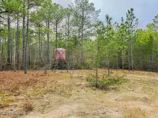 0 Lobelia Road, Vass, NC 28394 – photo 10: 31
