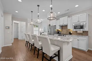 3532 Laughing Gull Terrace, Wilmington, NC 28412 – photo 7: download (51)