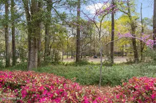 922 Oyster Pointe Drive, Sunset Beach, NC 28468 – photo 5: Rear to Golfcours