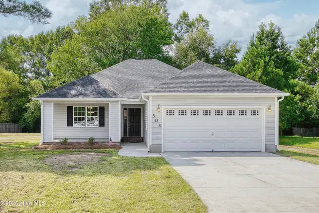 303 Big Tree Lane, Chinquapin, NC 28521