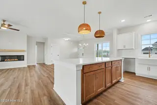 22 Grady Farm Way, Benson, NC 27504 – photo 13: 015_jam04715_805