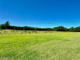 146 Cherry Street, Cerro Gordo, NC 28430 – photo 2: land