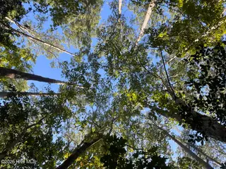 4701 77 Merrimon Road, Beaufort, NC 28516 — lot in Jonaquin Landing, Beaufort, NC, photo 9 of 31: 3E128779-1FDF-4B6E-83EE-C69808A45897_1_1