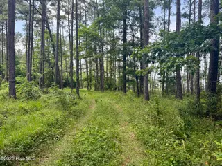 558 Sandy Point Drive, Beaufort, NC 28516 – photo 5: pathway