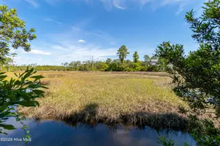 112 Sweet Grass Trail, Cedar Point, NC 28584 – photo 10: Vacant lot in Marsh Harbor