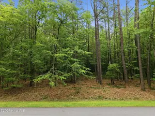 335 Pamlico River Drive, Washington, NC 27889 – photo 2: 1-web-or-mls-DJI_20260501100226_0031_D