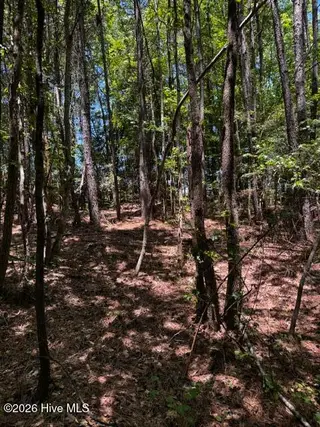 Lot 1 Dan Road, Robbins, NC 27325 – photo 18: 17