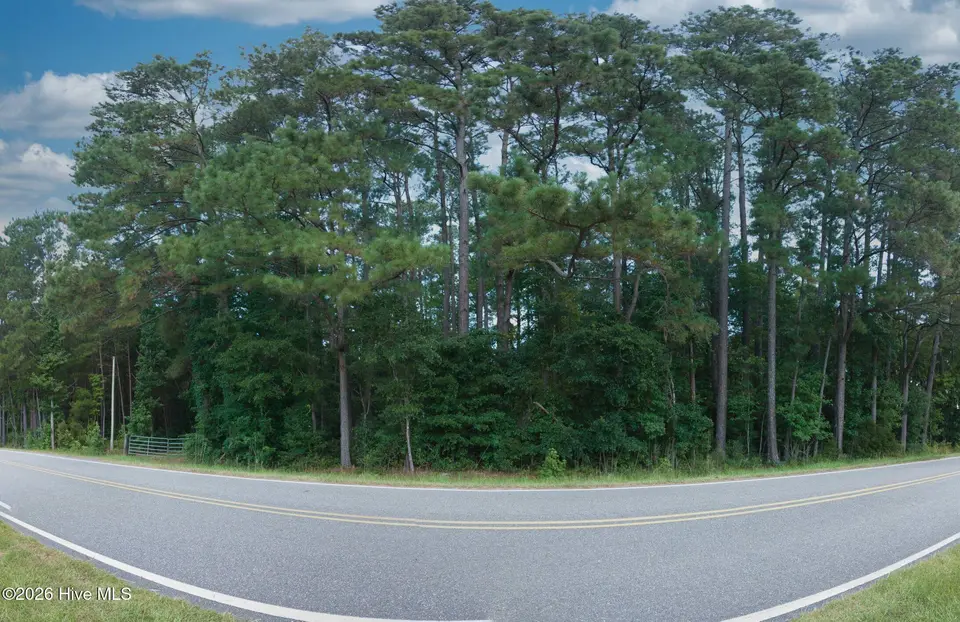 0000 Near 855 Furnie Hamm Road, Clarendon, NC 28432 – photo 1 of 5: PANO_0004_panorama