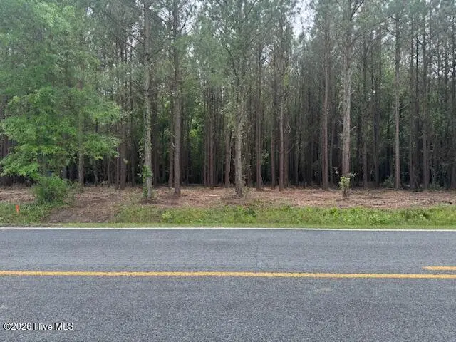 2 2 Great Swamp, Ernul, NC 28527 – photo 1 of 1: IMG_4224