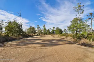 1217 Strange Court, Morehead City, NC 28557 – photo 18: Marsh Front Property in Country Club Run