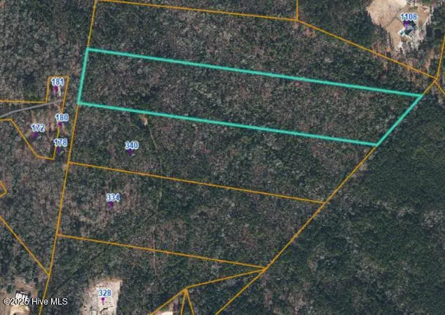 Lot B Carthage Road, West End, NC 27376 – photo 1 of 3: Baber Land Lot B