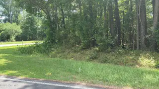0 Sr 1916 & 1917, Aurora, NC 27806 – photo 8: IMG_9748