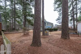 3793 Robinson Street, Bethel, NC 27812 – photo 18: 3793_Robinson-18