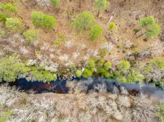 0 Lobelia Road, Vass, NC 28394 – photo 13: 15