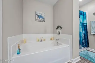 243 Breakwater Drive, Sneads Ferry, NC 28460 – photo 18: 22-web-or-mls-_RAD6235