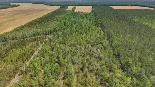 0 7 Guinea Mill Road, Ernul, NC 28527 – photo 21: 21