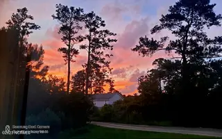 228 Hopkins Seafood Road, Belhaven, NC 27810 – photo 8: Resized_20220630_203734