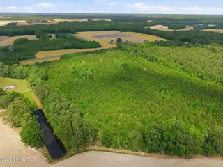 2733 Jim Taylor Road, Stokes, NC 27884 – photo 7: 7-web-or-mls-dji_20260424143334_0017_d