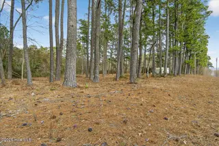 2162 Old Pamlico Beach Road W, Belhaven, NC 27810 – photo 5: 02-Finished 2162 Old Pamilco Beach Rd (2