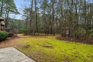 1273 Forest Acres Drive, Greenville, NC 27834 – photo 16: 17-web-or-mls-LHV_8882